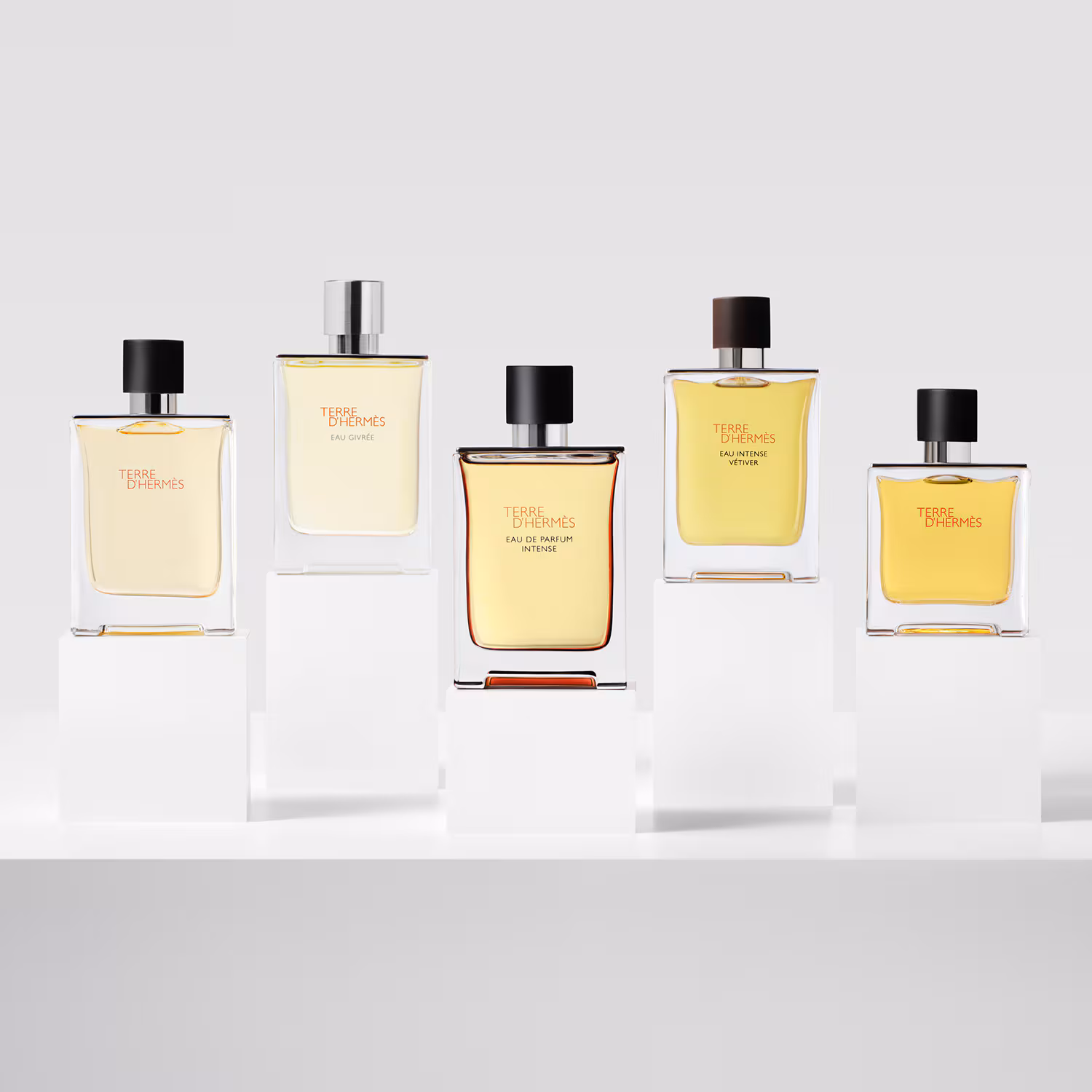 Terre d’Hermès EDP Intense 100 ML